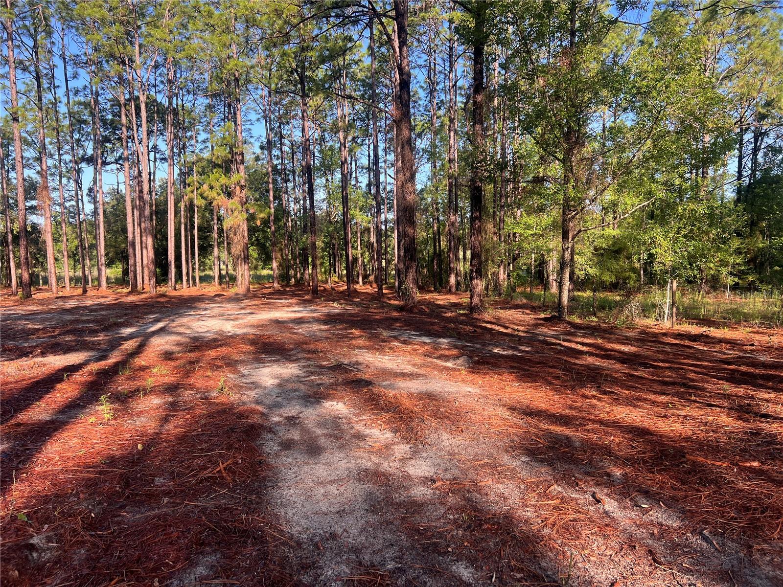 24 SE 130 CT, DUNNELLON, FL, 34431