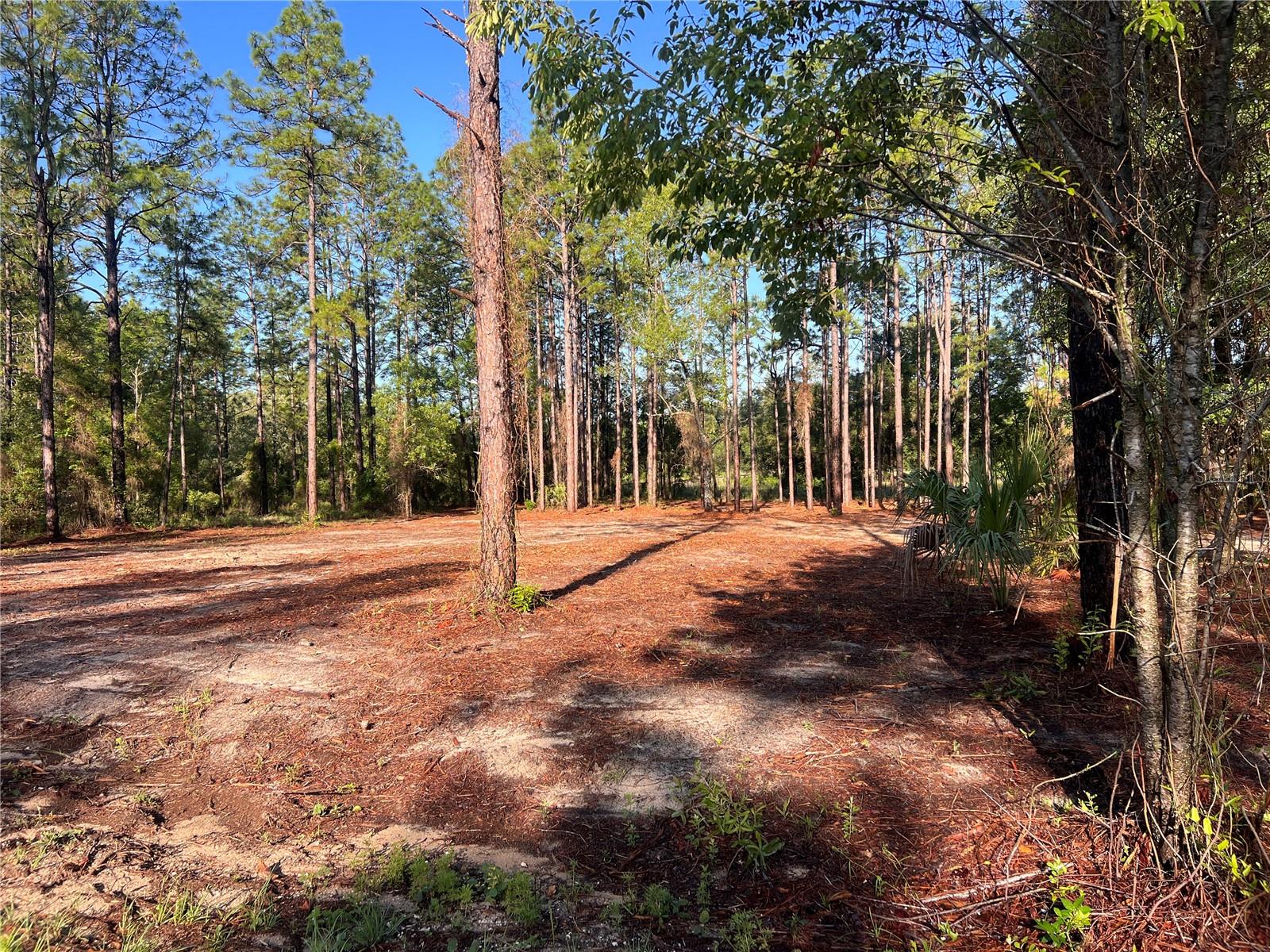 24 SE 130 CT, DUNNELLON, FL, 34431