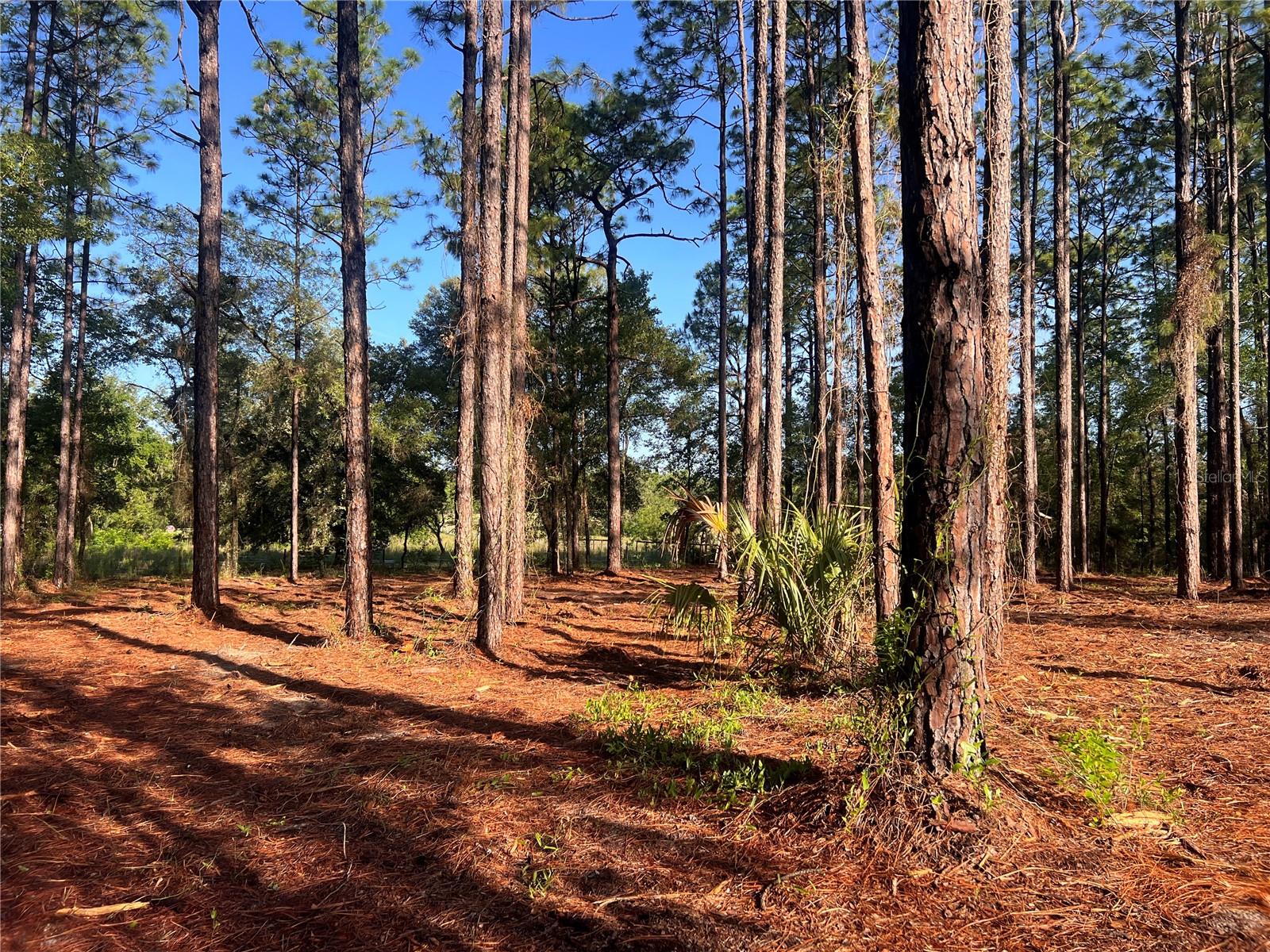 24 SE 130 CT, DUNNELLON, FL, 34431