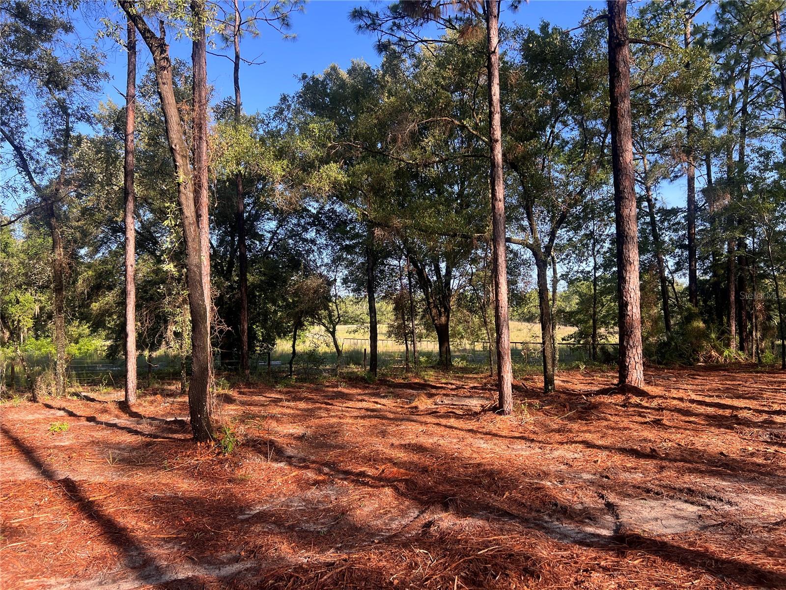 24 SE 130 CT, DUNNELLON, FL, 34431