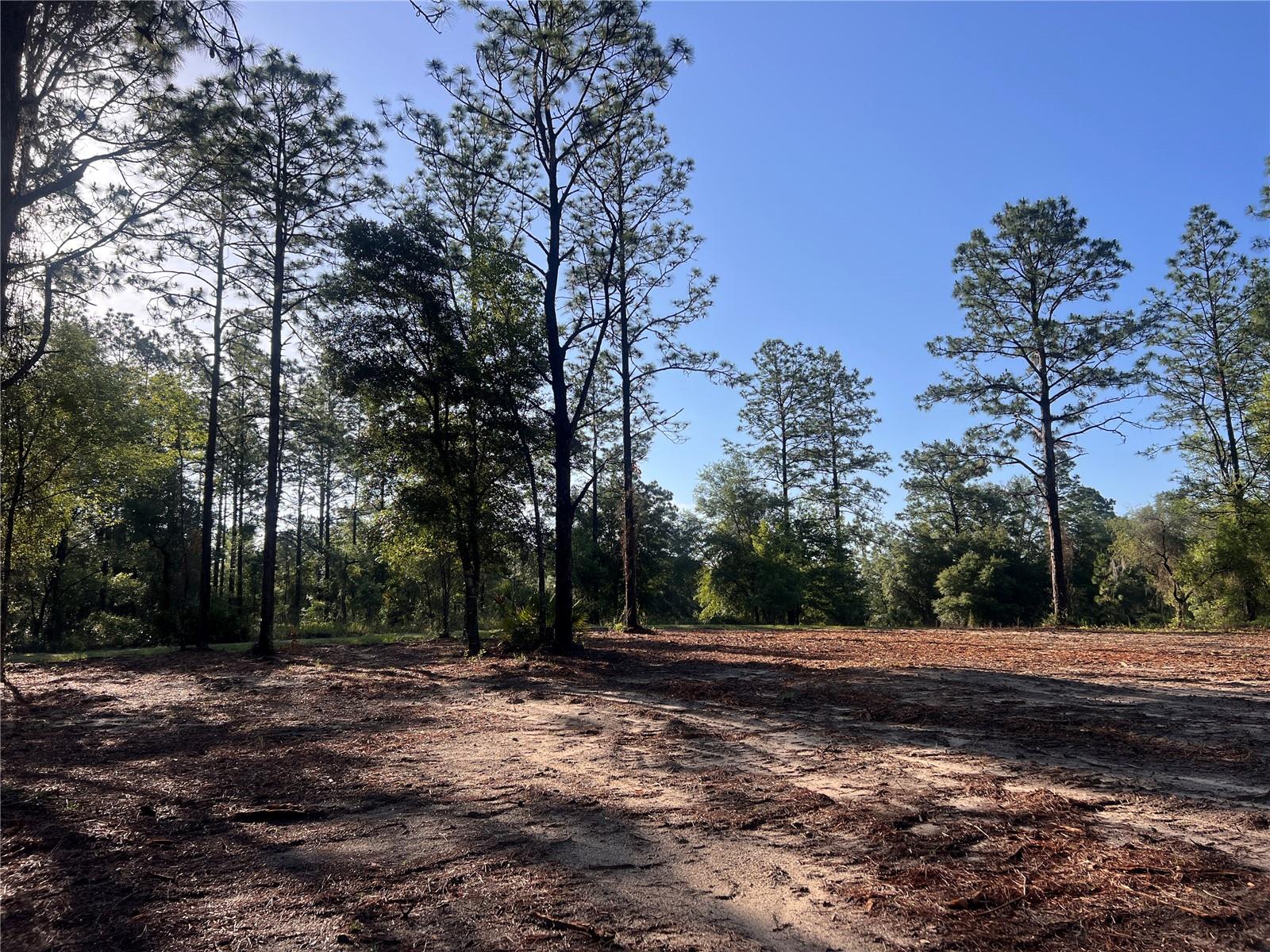 24 SE 130 CT, DUNNELLON, FL, 34431