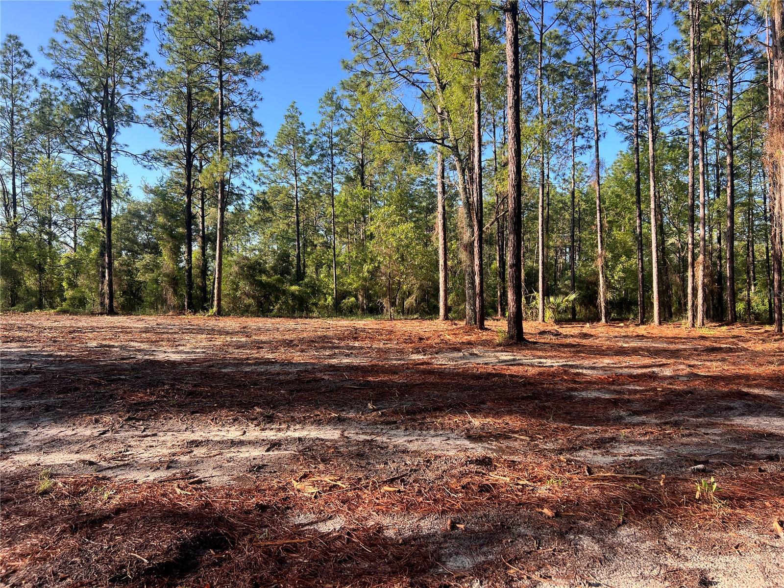 24 SE 130 CT, DUNNELLON, FL, 34431