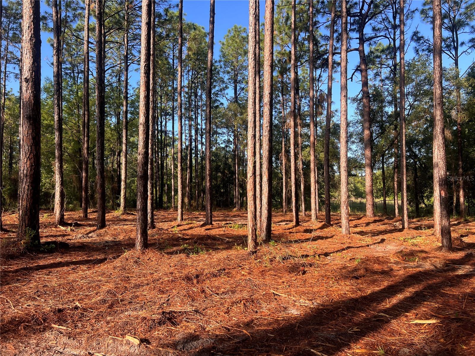 24 SE 130 CT, DUNNELLON, FL, 34431