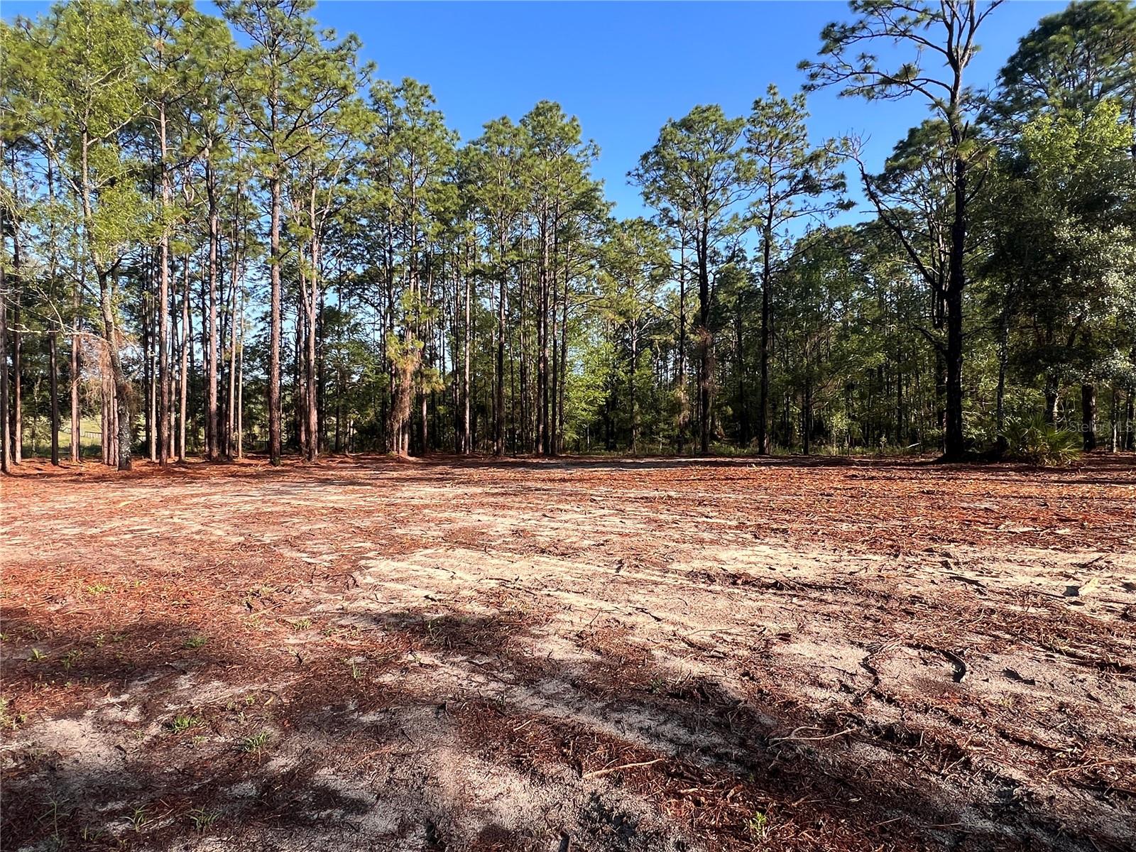 24 SE 130 CT, DUNNELLON, FL, 34431