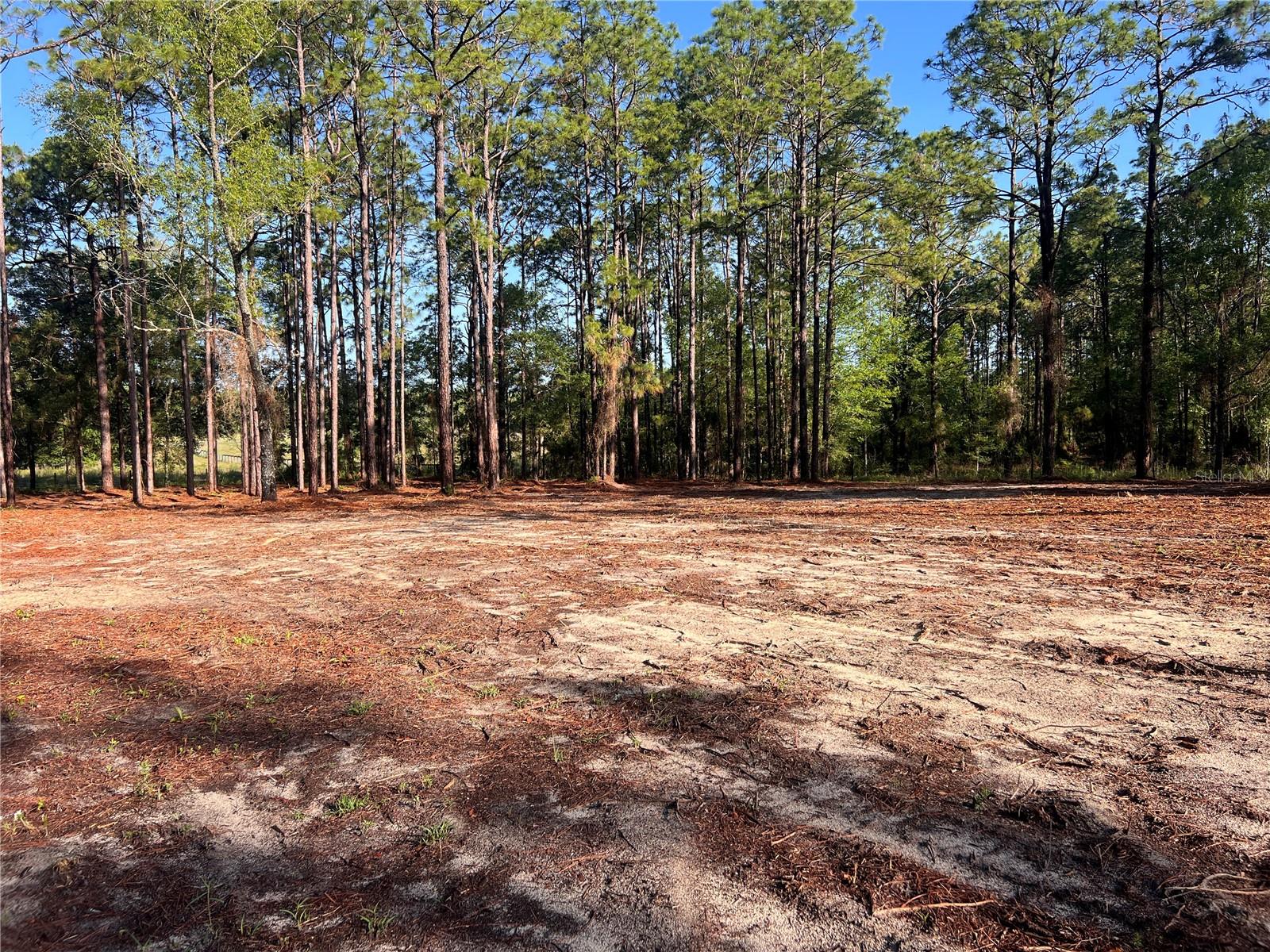 24 SE 130 CT, DUNNELLON, FL, 34431