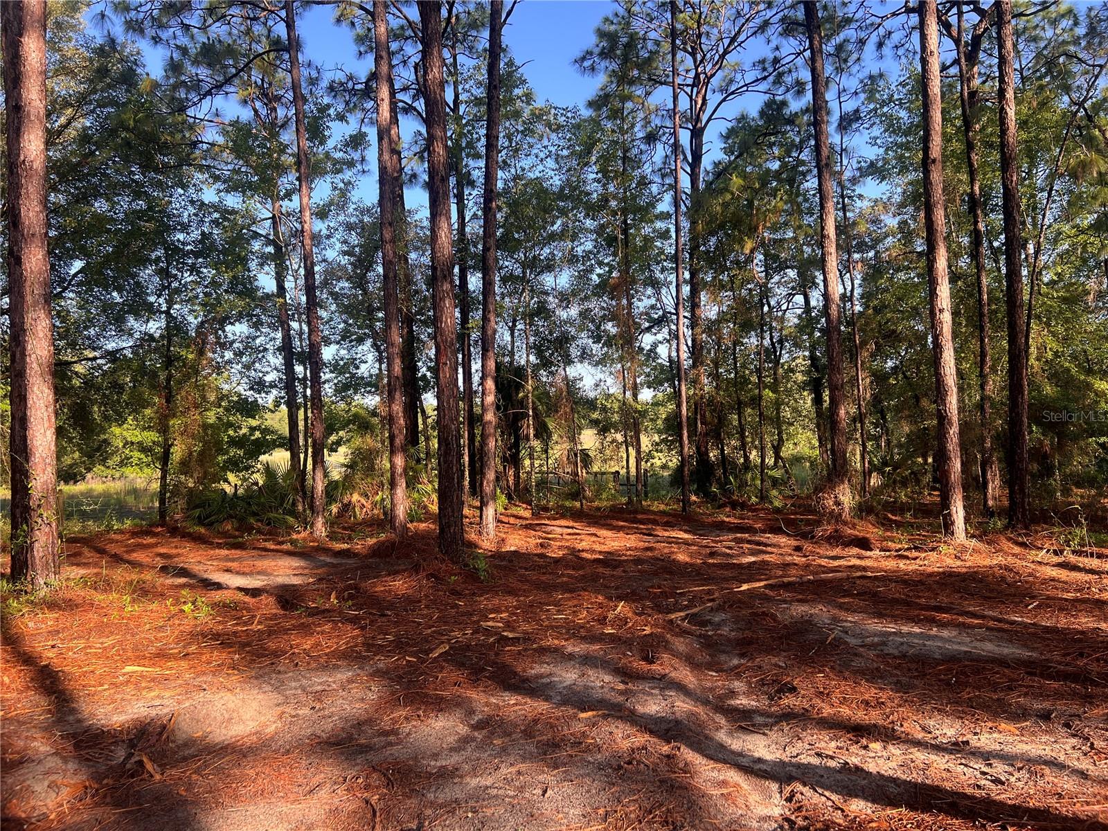 24 SE 130 CT, DUNNELLON, FL, 34431