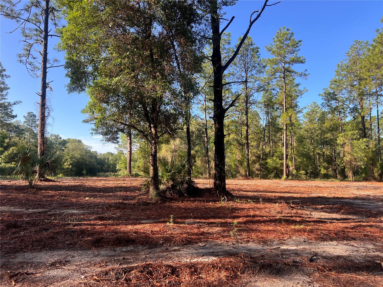 24 SE 130 CT, DUNNELLON, FL, 34431