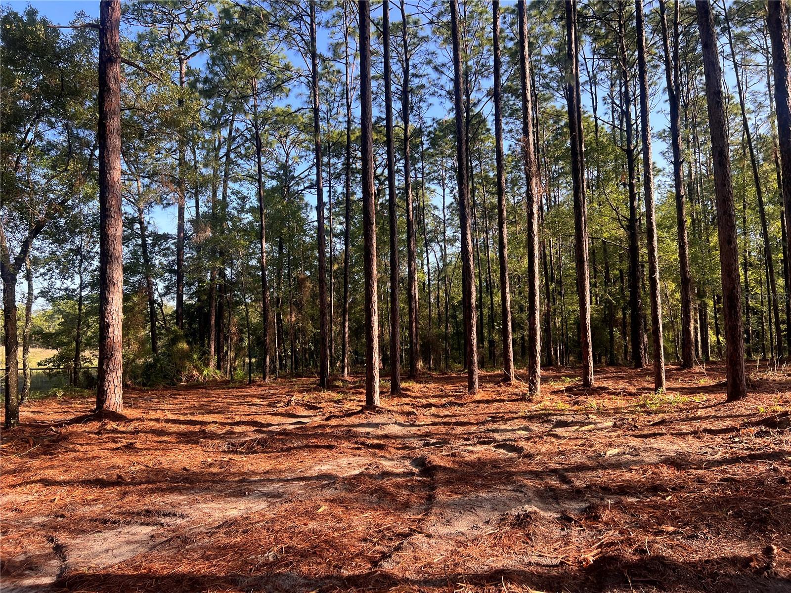 24 SE 130 CT, DUNNELLON, FL, 34431
