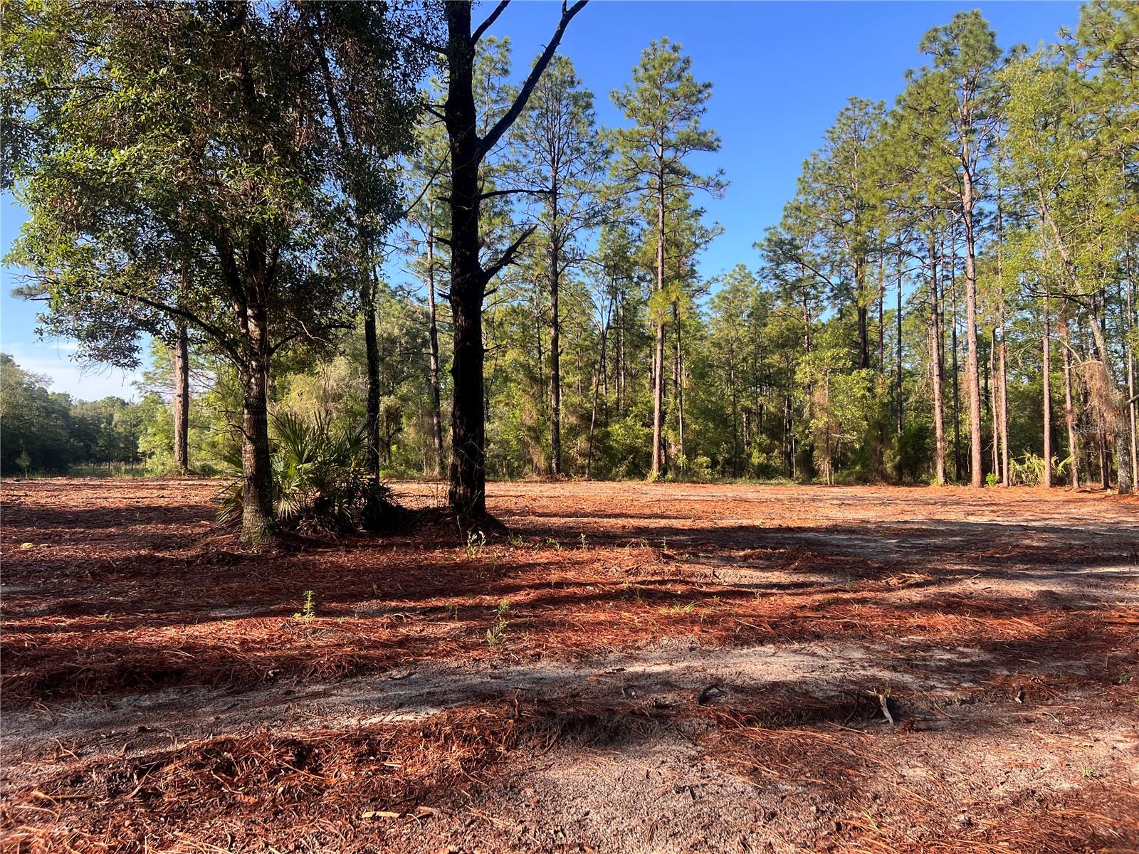 24 SE 130 CT, DUNNELLON, FL, 34431