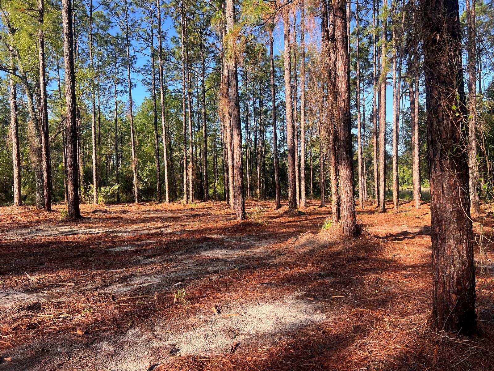 24 SE 130 CT, DUNNELLON, FL, 34431