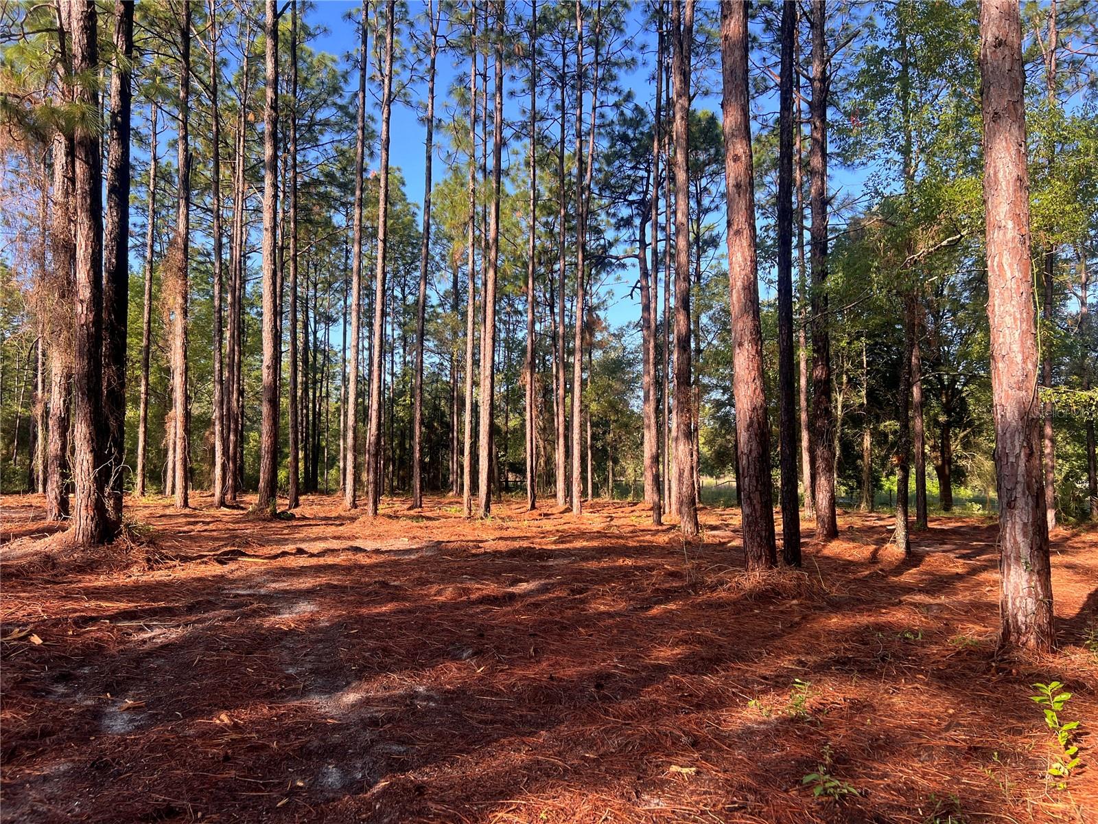 24 SE 130 CT, DUNNELLON, FL, 34431