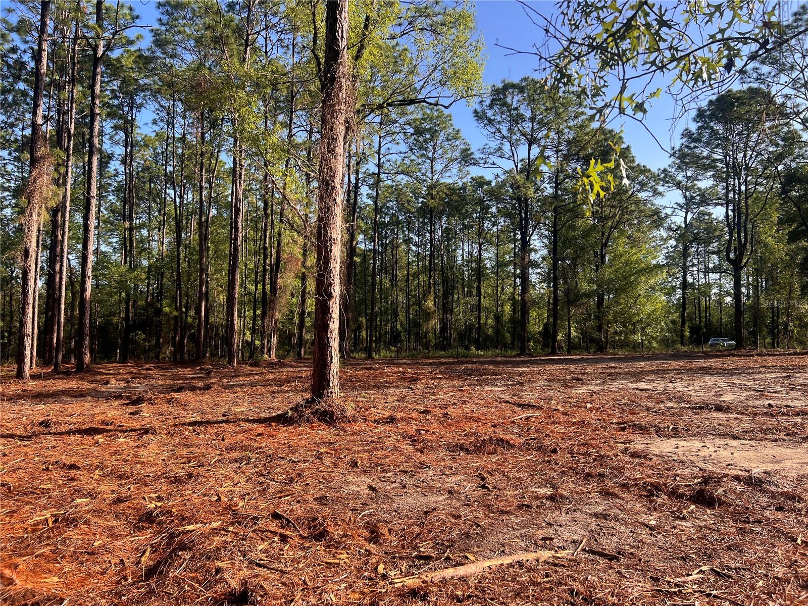 24 SE 130 CT, DUNNELLON, FL, 34431