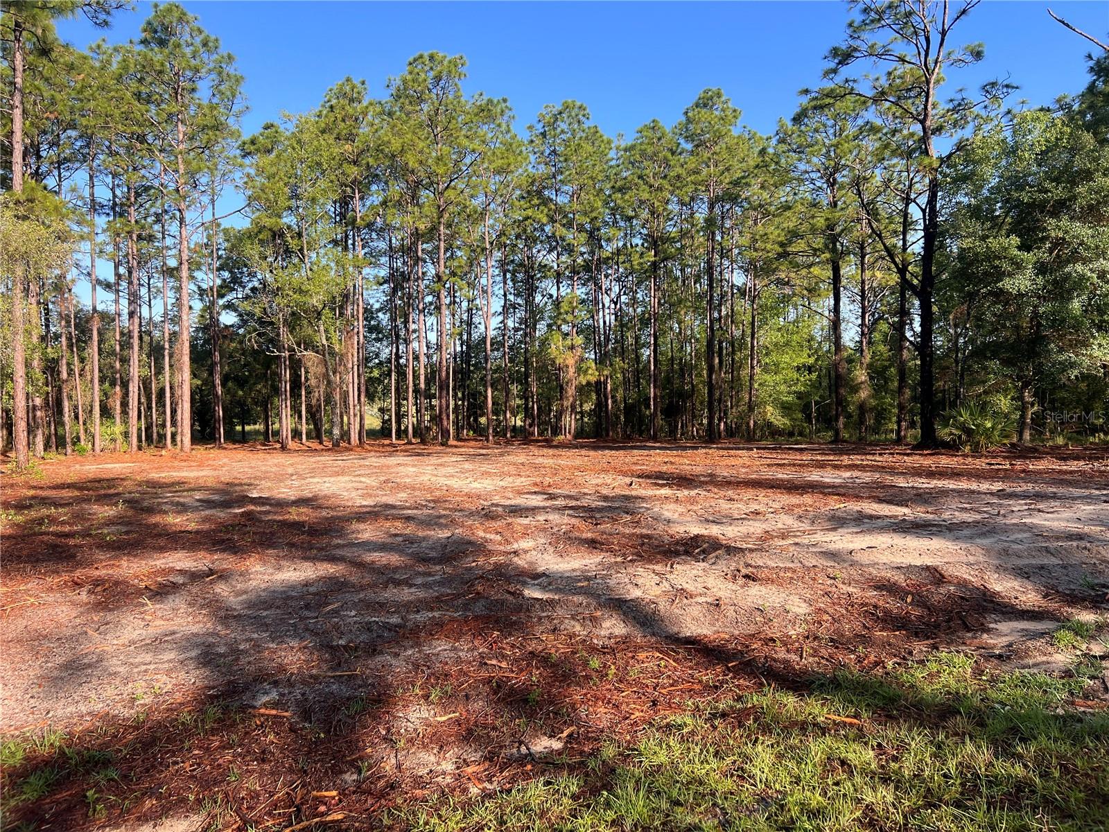 24 SE 130 CT, DUNNELLON, FL, 34431