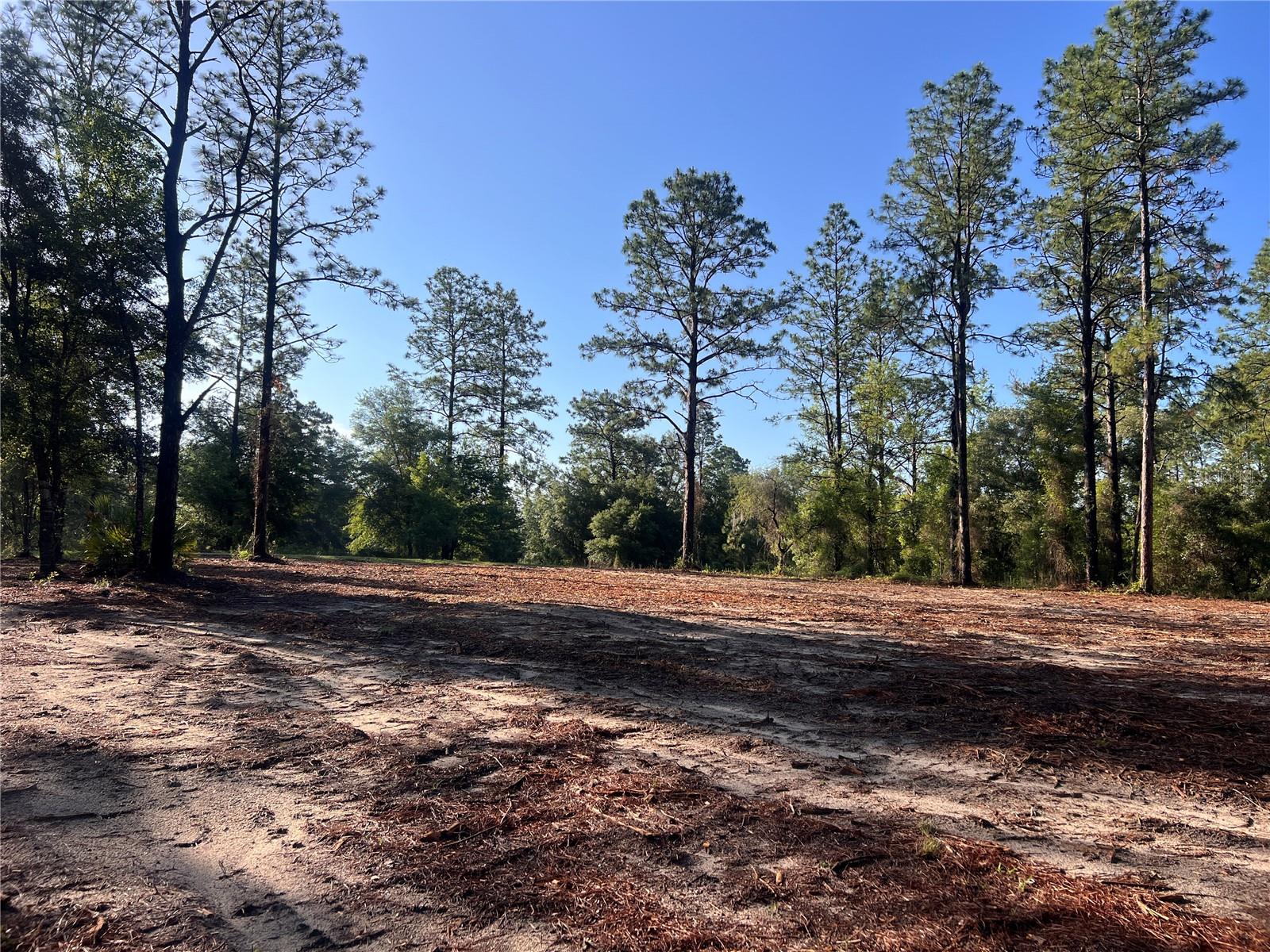 24 SE 130 CT, DUNNELLON, FL, 34431