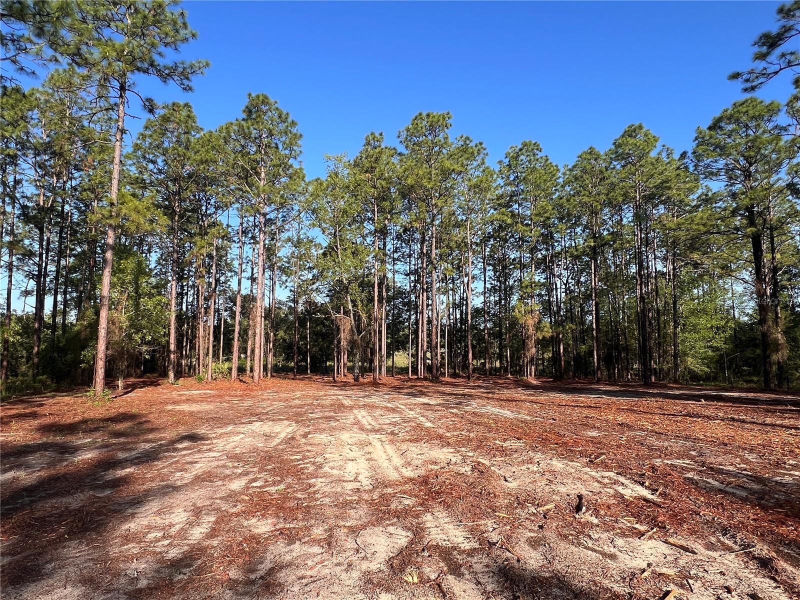 24 SE 130 CT, DUNNELLON, FL, 34431