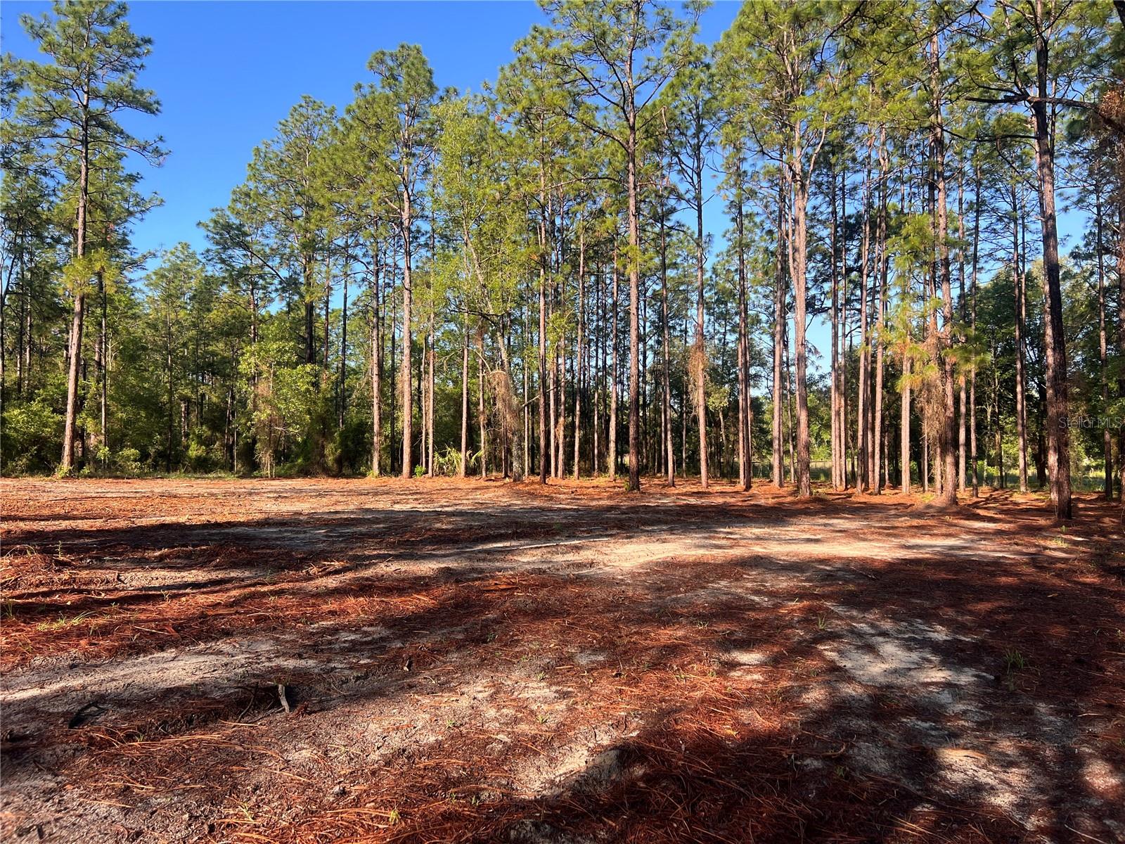 24 SE 130 CT, DUNNELLON, FL, 34431