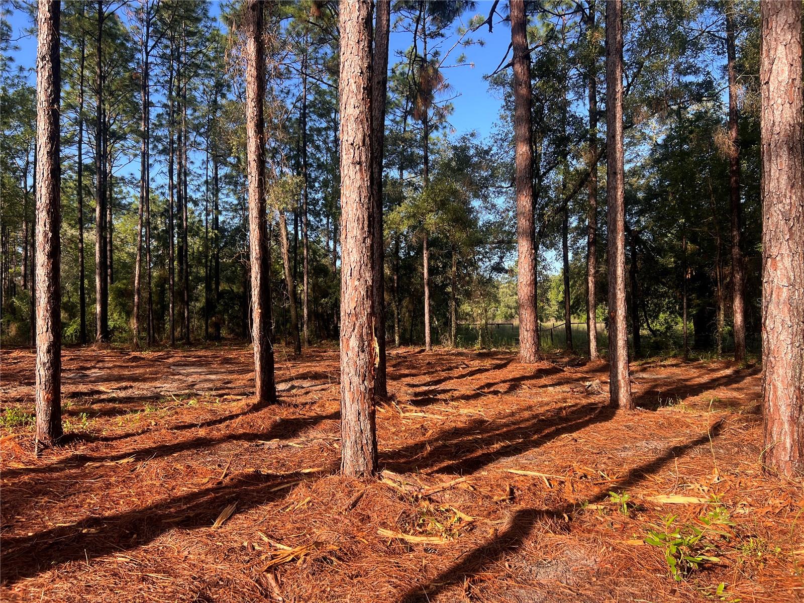 24 SE 130 CT, DUNNELLON, FL, 34431