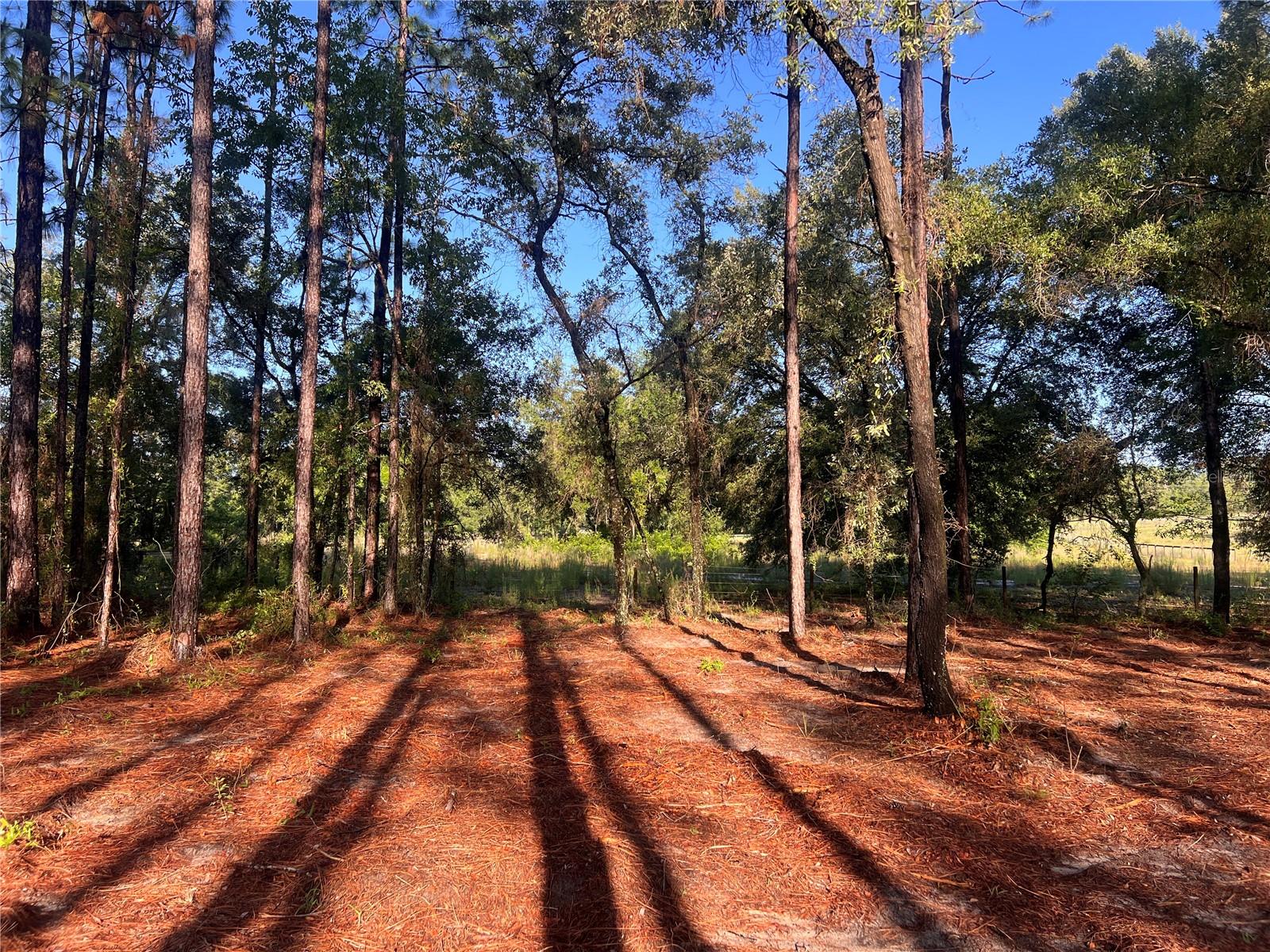 24 SE 130 CT, DUNNELLON, FL, 34431