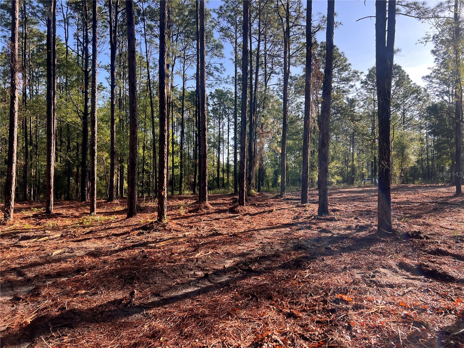 24 SE 130 CT, DUNNELLON, FL, 34431