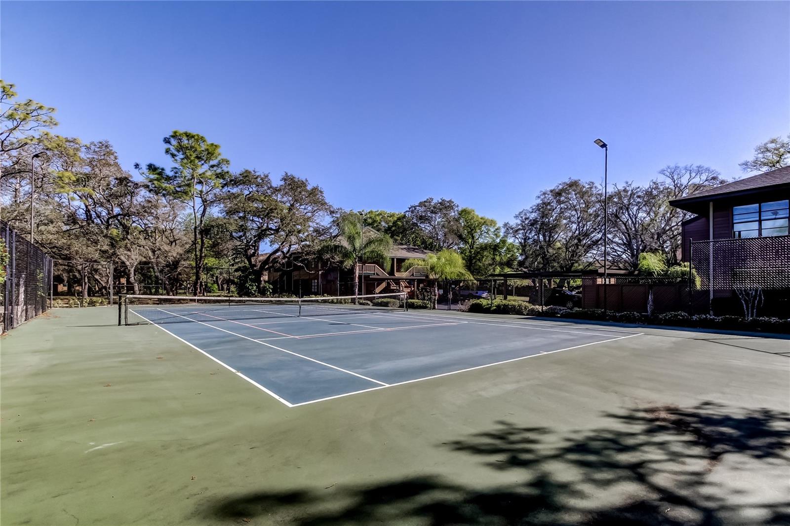 1407 LENNOX RD E #1407, PALM HARBOR, FL, 34683