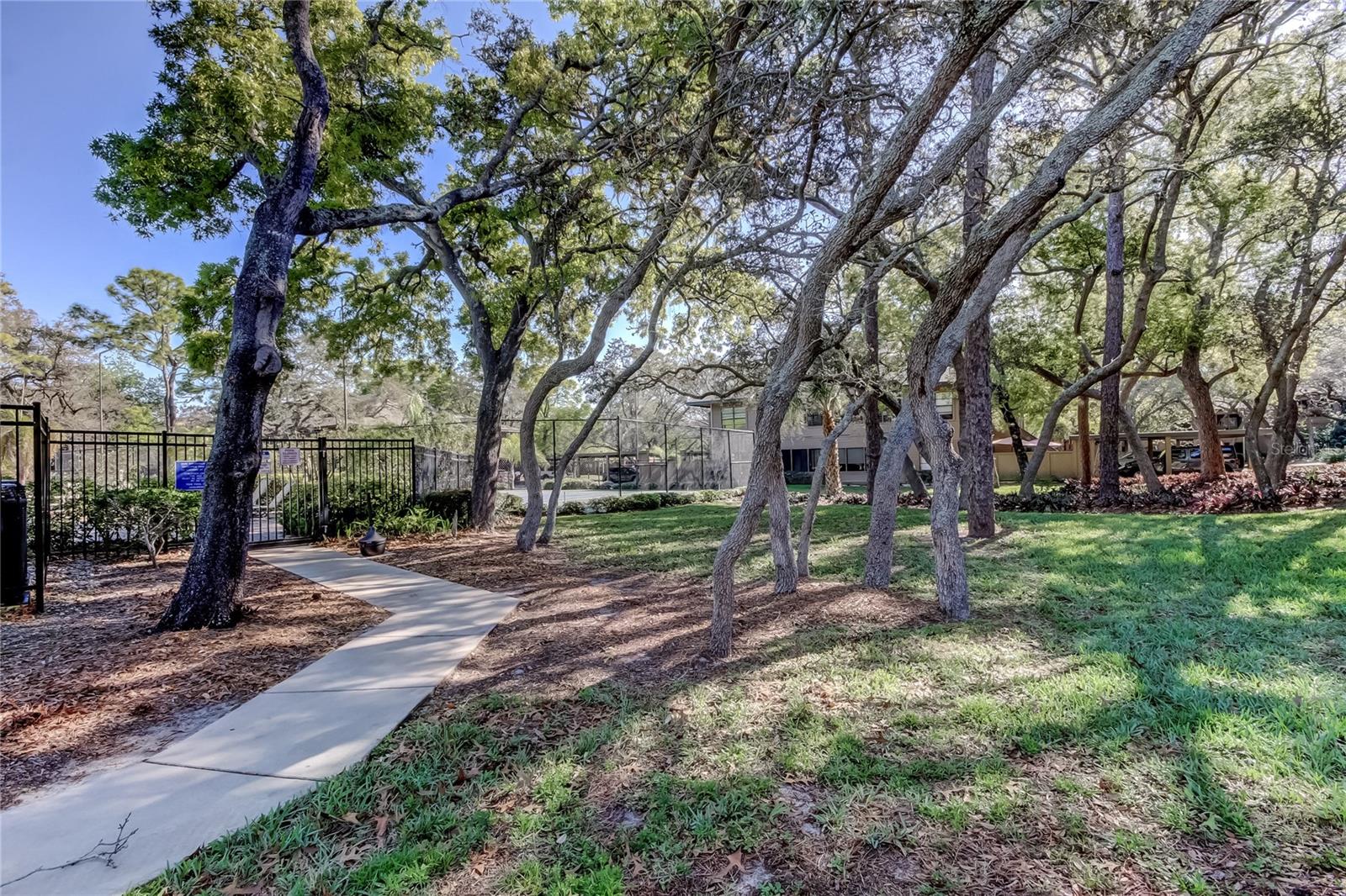 1407 LENNOX RD E #1407, PALM HARBOR, FL, 34683