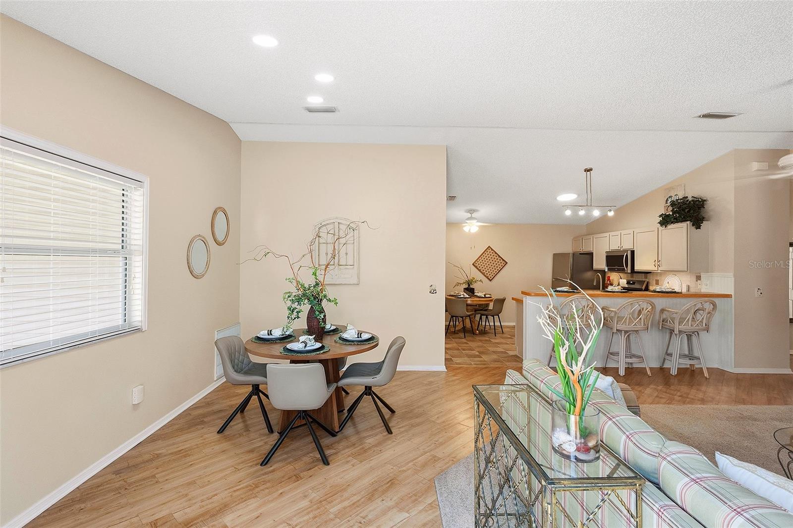 880 ALLAGASH AVE, THE VILLAGES, FL, 32162