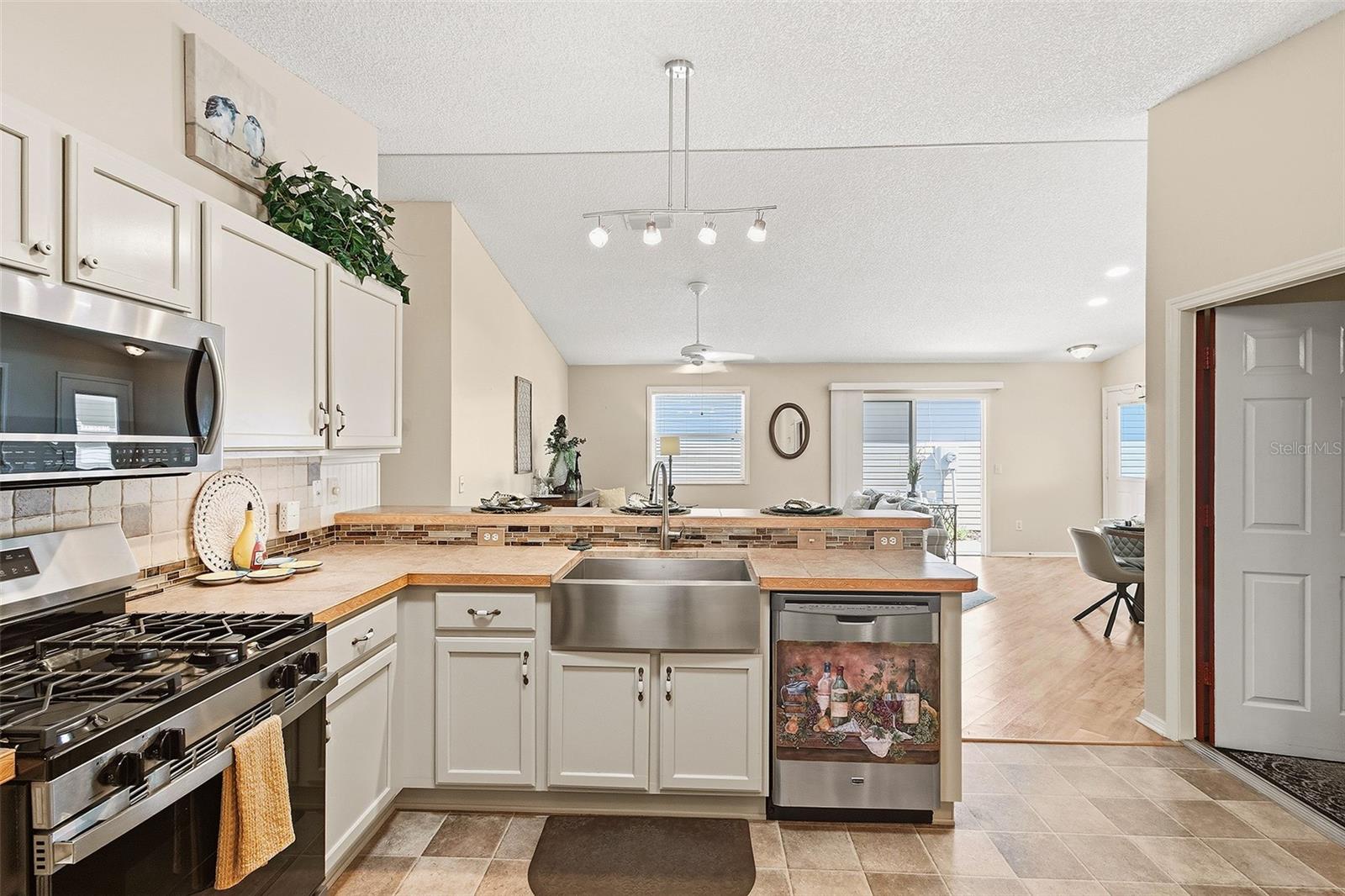 880 ALLAGASH AVE, THE VILLAGES, FL, 32162