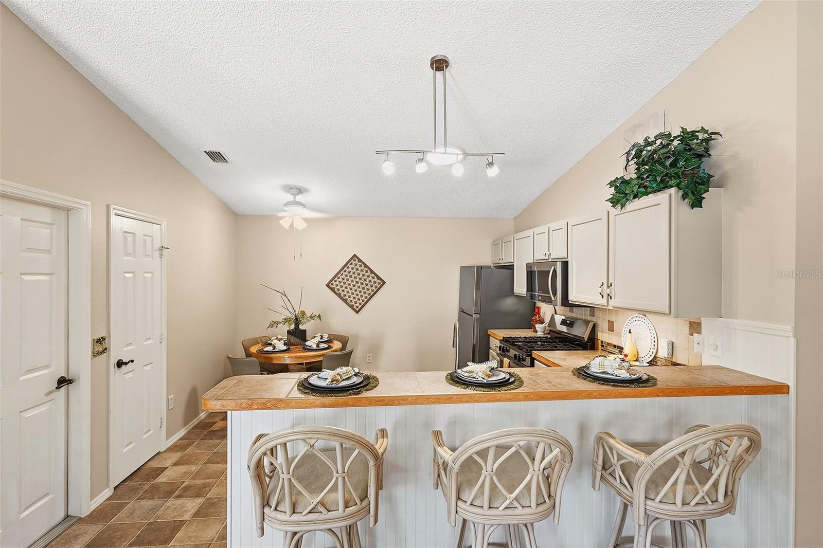 880 ALLAGASH AVE, THE VILLAGES, FL, 32162