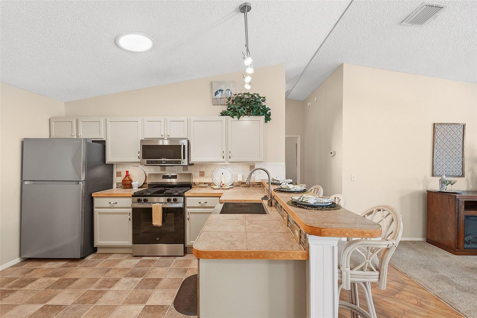 880 ALLAGASH AVE, THE VILLAGES, FL, 32162