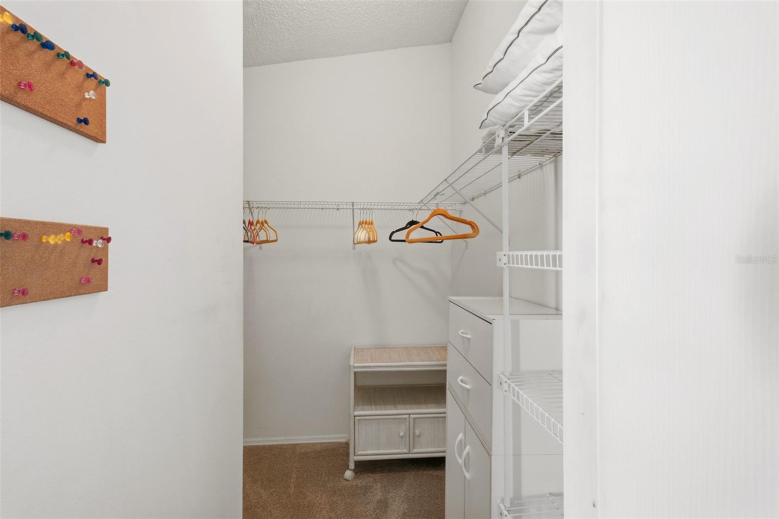 880 ALLAGASH AVE, THE VILLAGES, FL, 32162