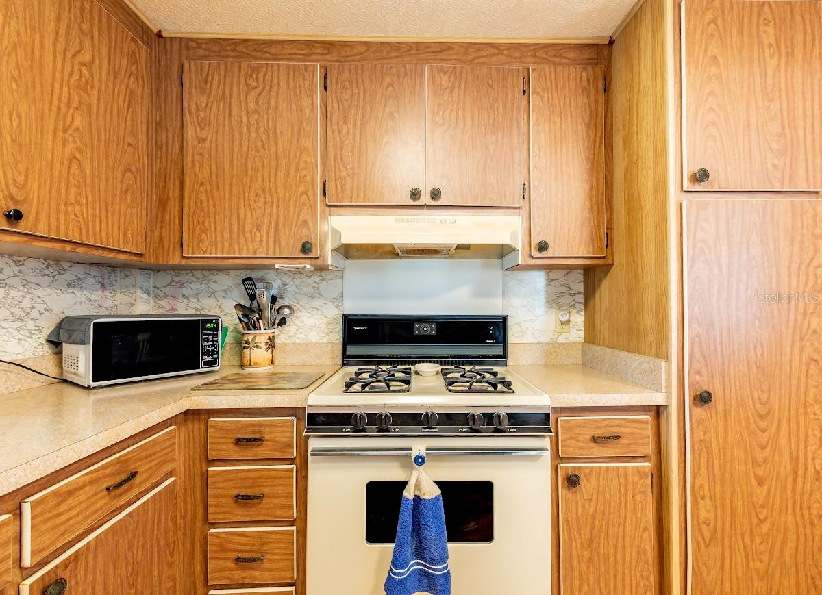 5330 BETMAR DR, ZEPHYRHILLS, FL, 33542