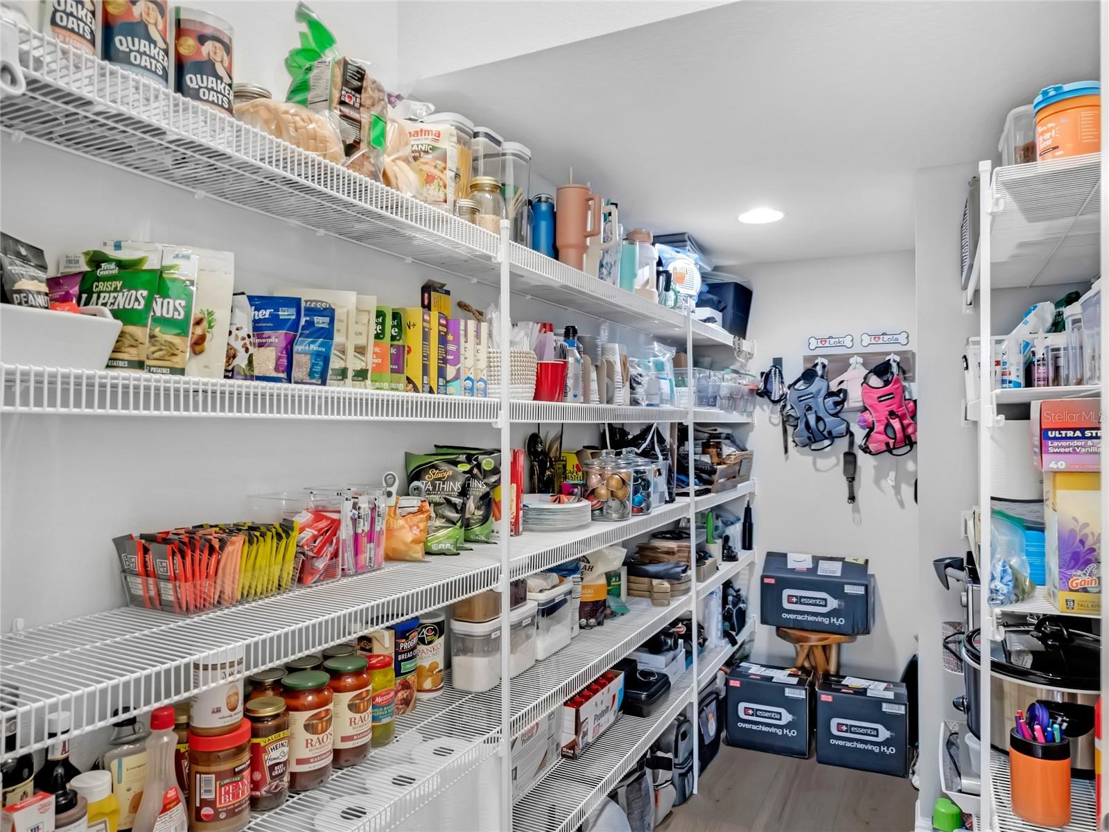 15324 GILLIGAN CT, WINTER GARDEN, FL, 34787