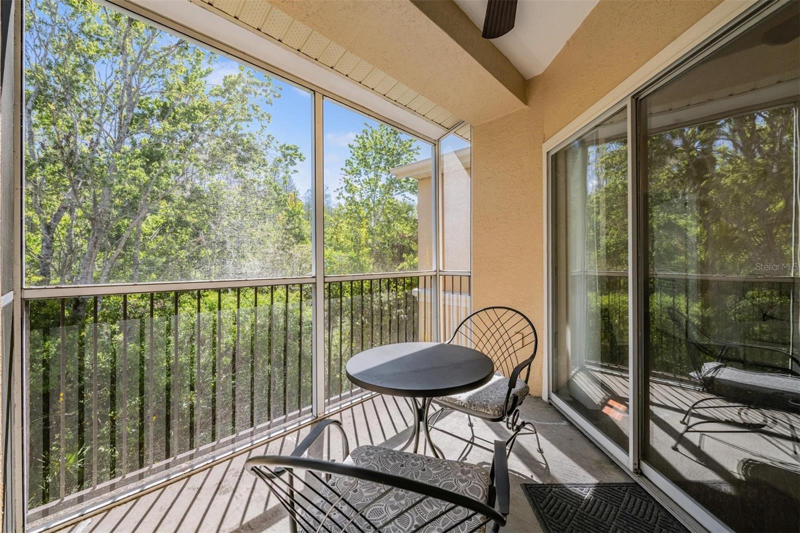 5125 PALM SPRINGS BLVD #14208, TAMPA, FL, 33647