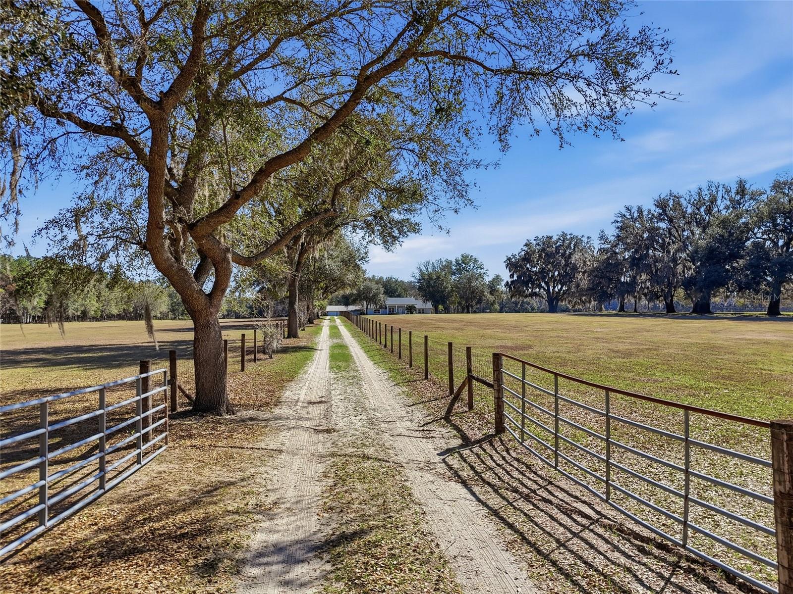 9115 NW 170TH ST, ALACHUA, FL, 32615