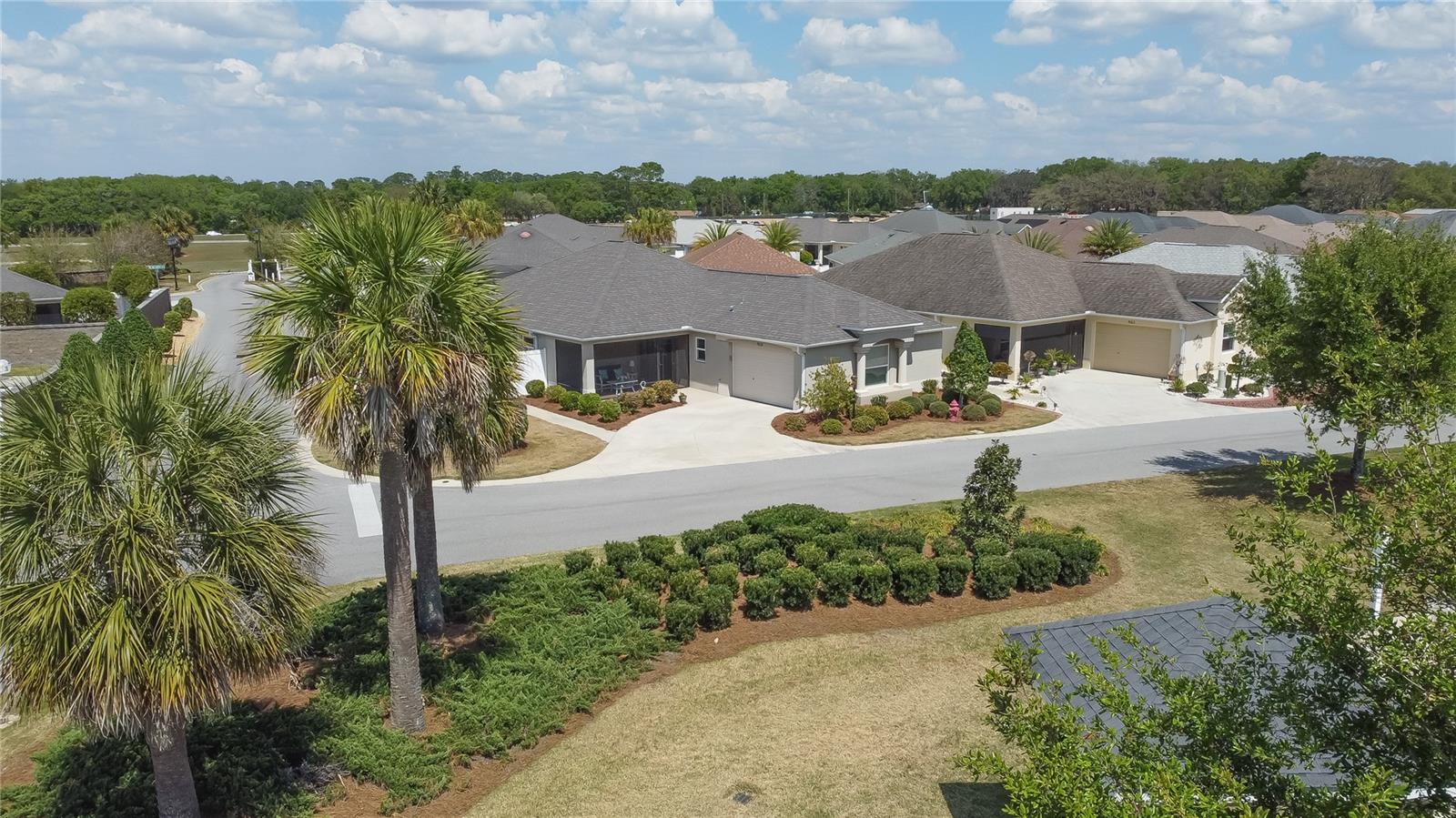9155 SE 167TH FORD ST, THE VILLAGES, FL, 32162