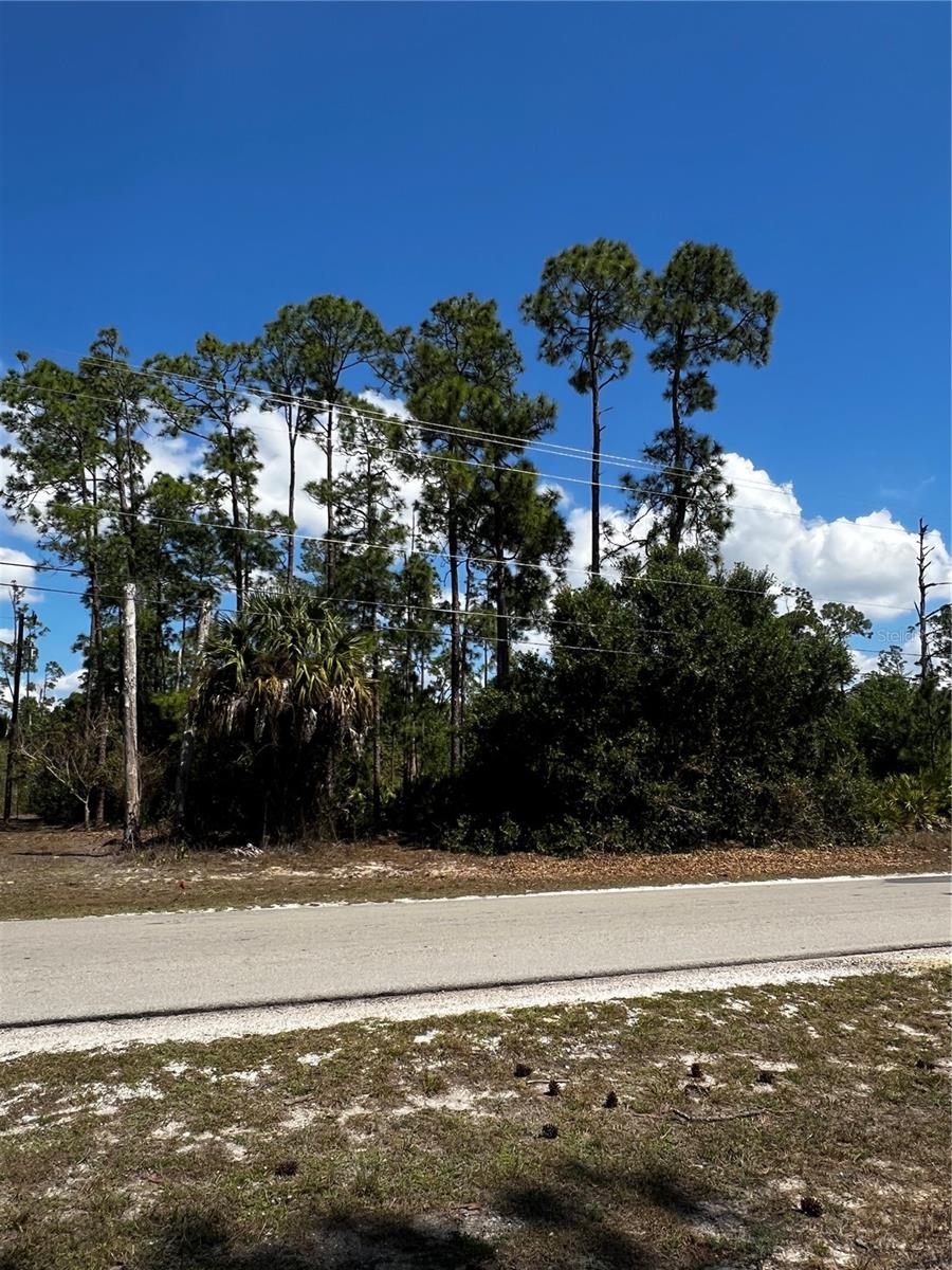 4105 E 10TH ST, LEHIGH ACRES, FL, 33972