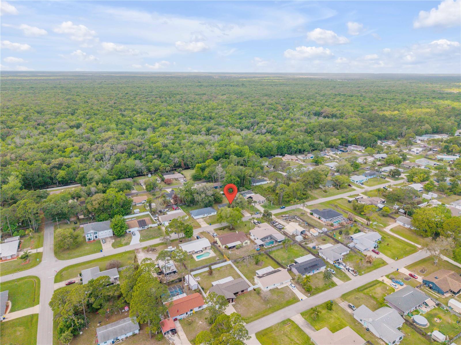 3314 TAMARIND DR, EDGEWATER, FL, 32141