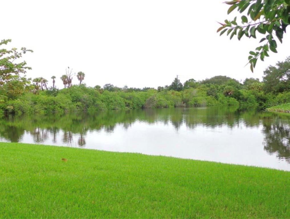 4117 HAMPTON DR, NEW PORT RICHEY, FL, 34652