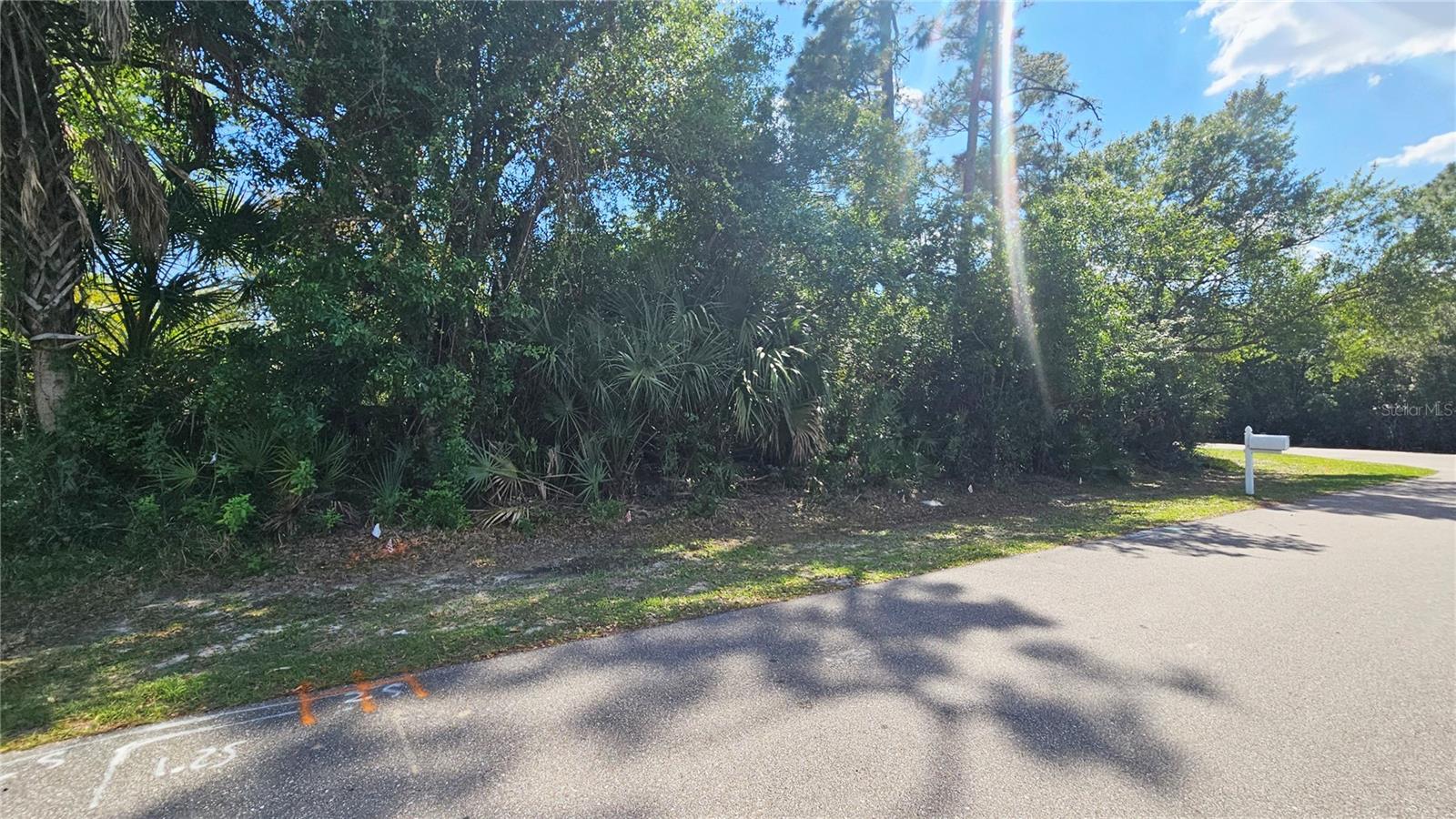 23039 & 23047 AUGUST LOTS 24 & 25 AVE, PORT CHARLOTTE, FL, 33954