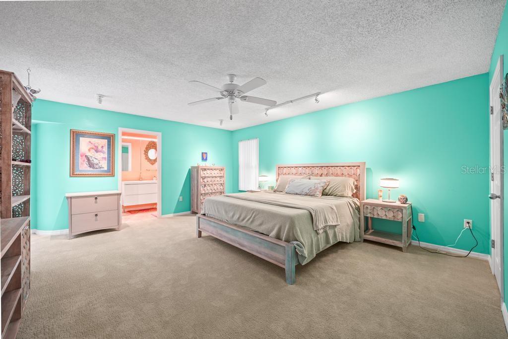 658 CLARK CT, MOUNT DORA, FL, 32757