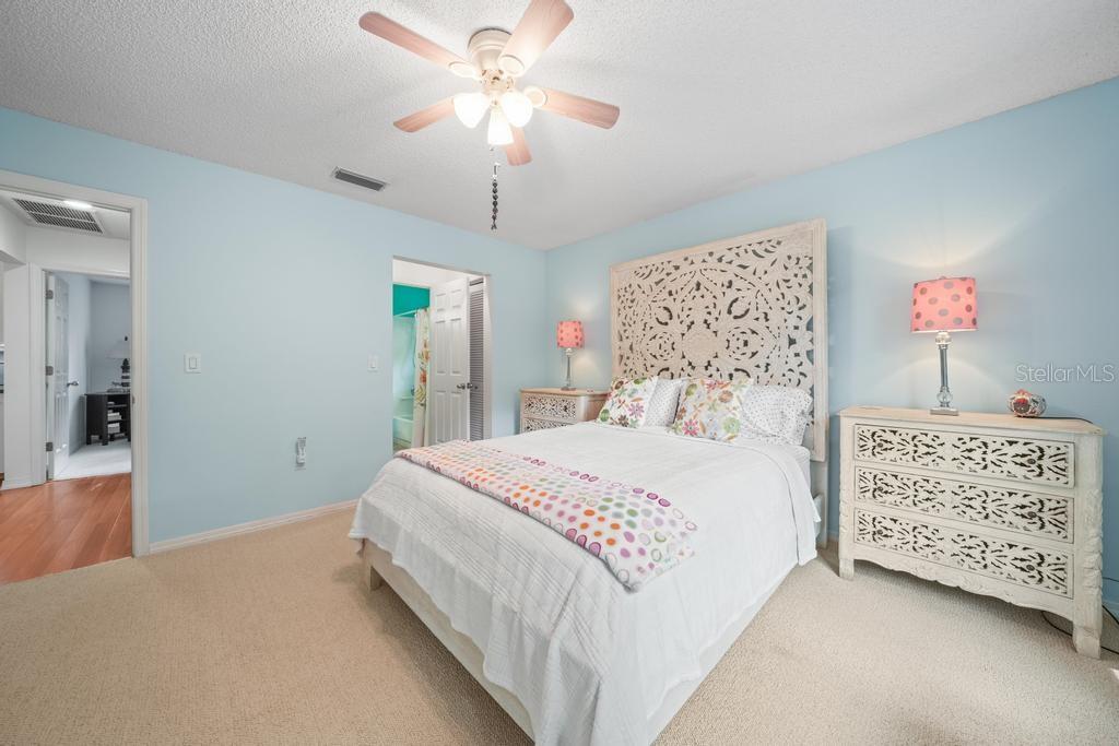658 CLARK CT, MOUNT DORA, FL, 32757