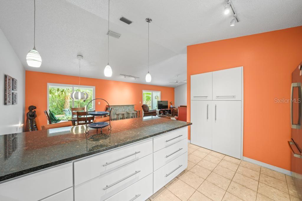 658 CLARK CT, MOUNT DORA, FL, 32757