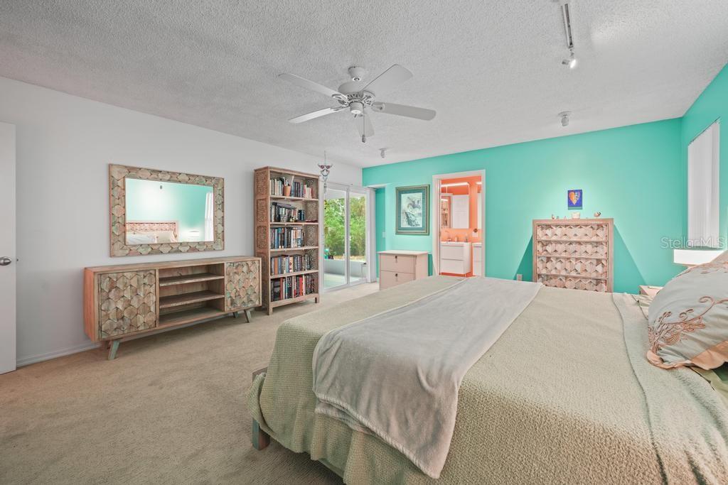 658 CLARK CT, MOUNT DORA, FL, 32757