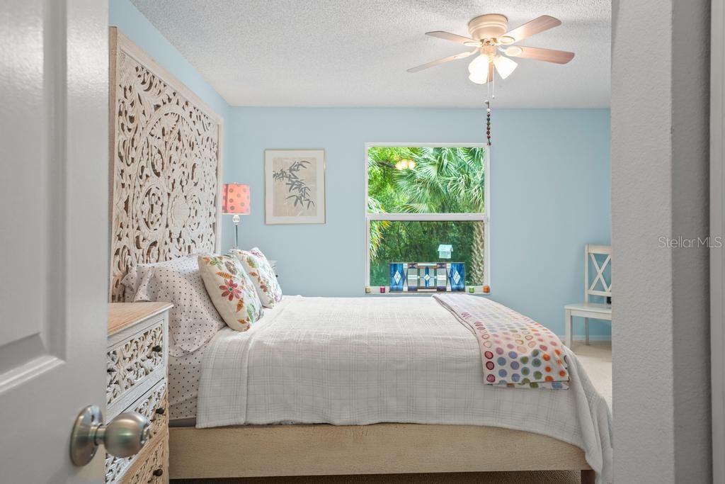 658 CLARK CT, MOUNT DORA, FL, 32757