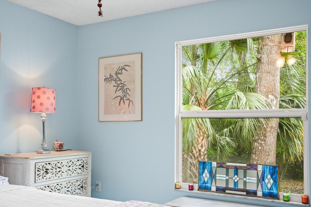 658 CLARK CT, MOUNT DORA, FL, 32757
