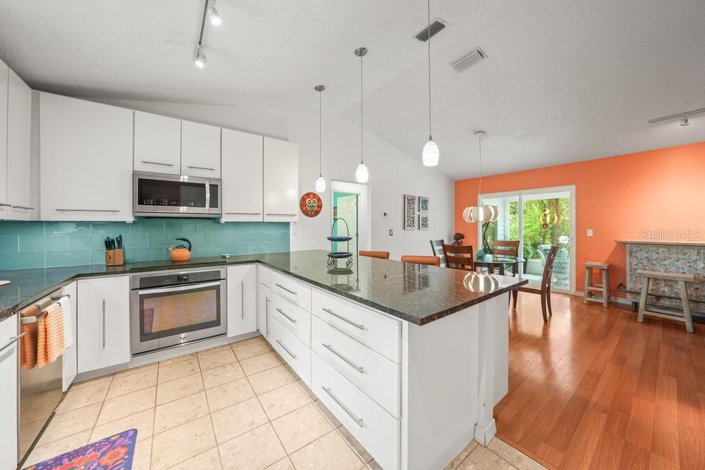 658 CLARK CT, MOUNT DORA, FL, 32757