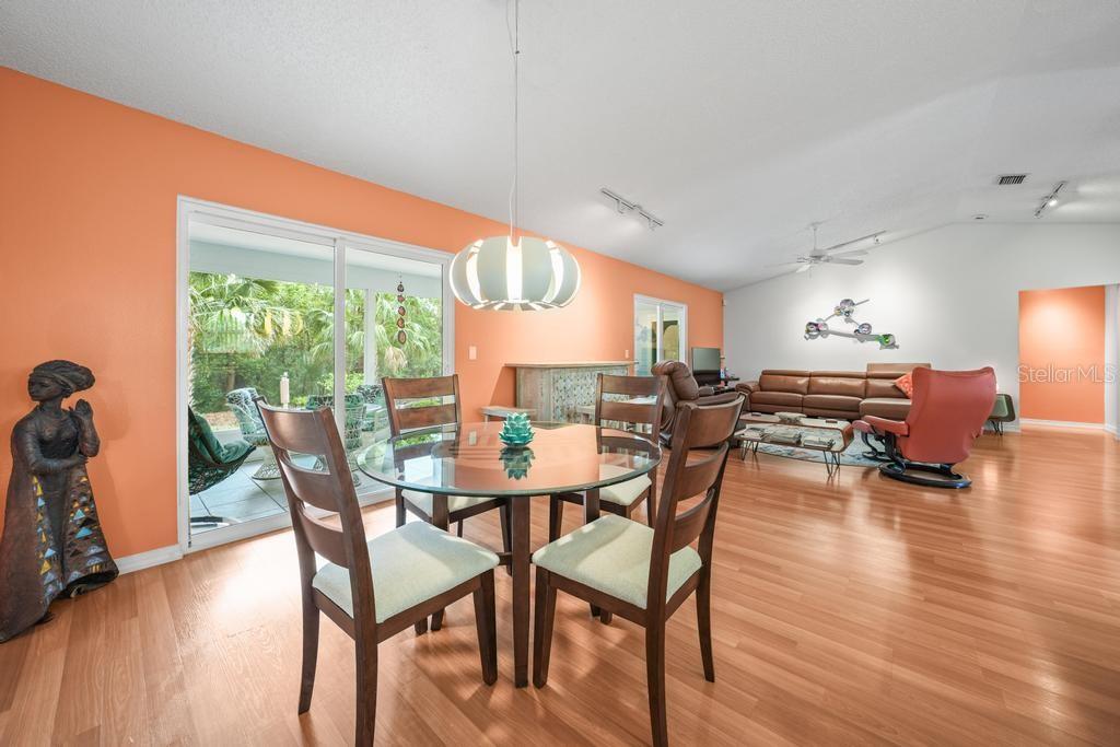658 CLARK CT, MOUNT DORA, FL, 32757