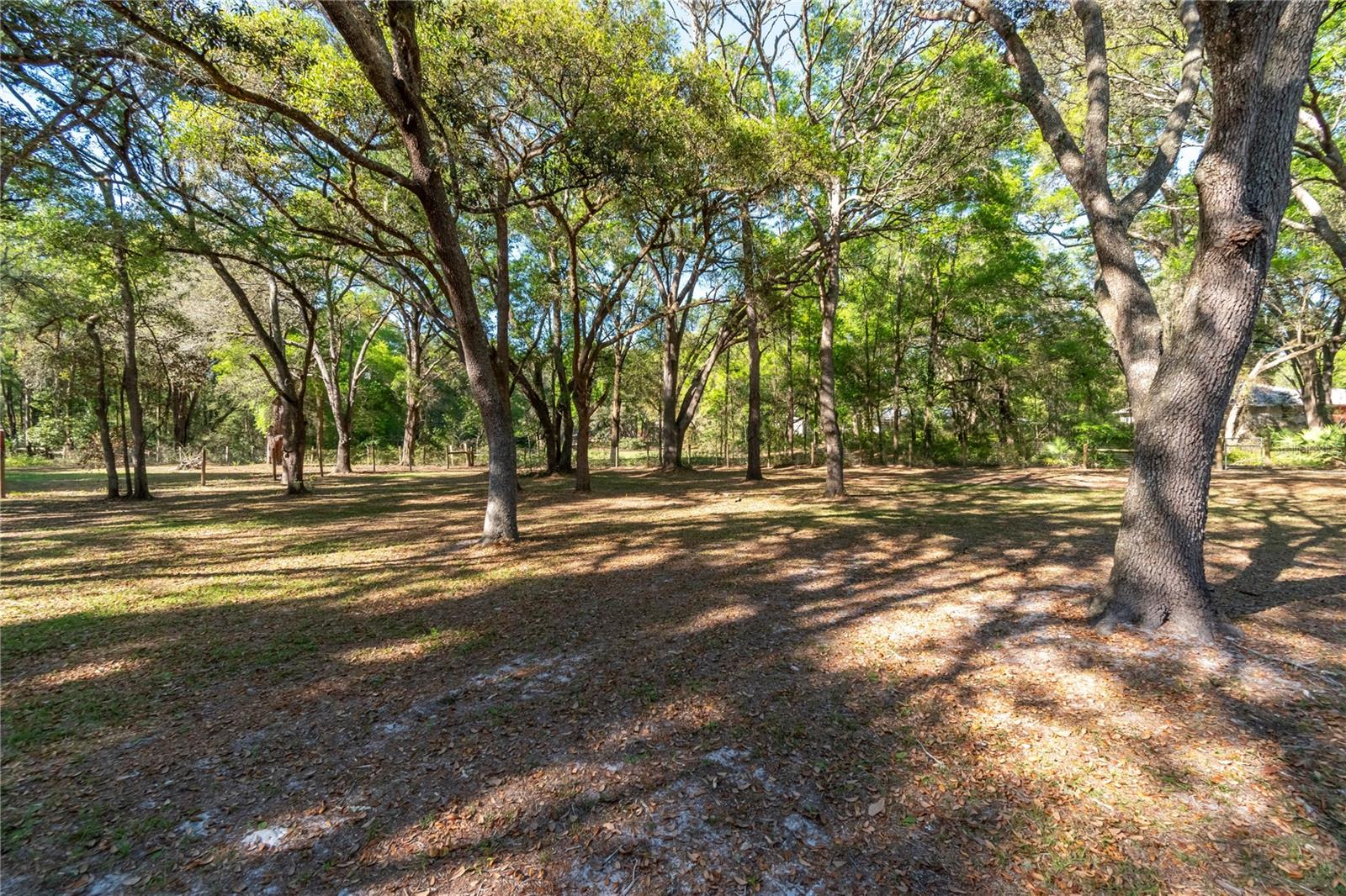 3005 SE 160TH LANE RD, SUMMERFIELD, FL, 34491