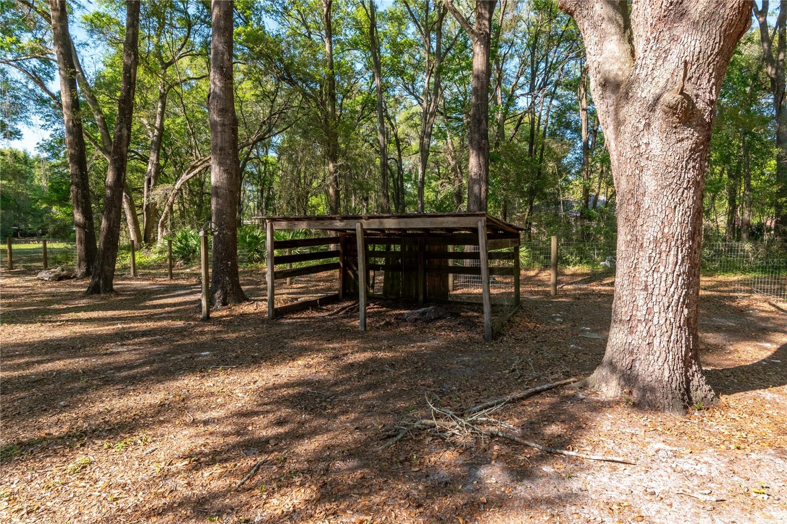 3005 SE 160TH LANE RD, SUMMERFIELD, FL, 34491