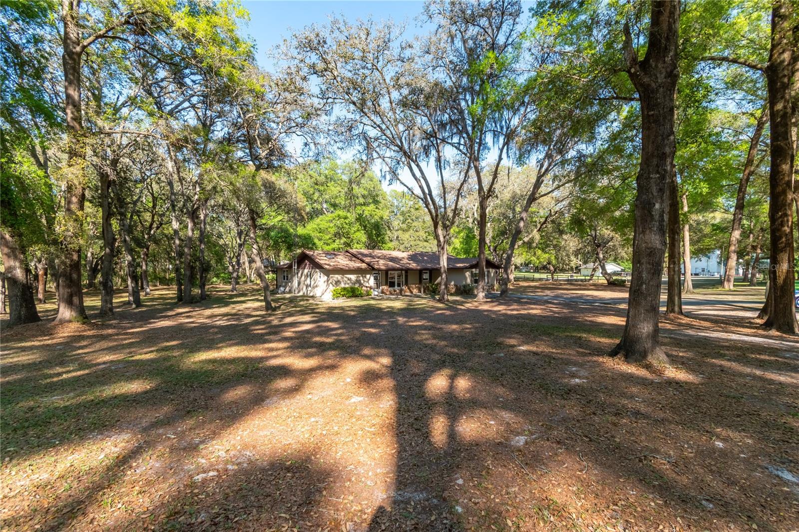 3005 SE 160TH LANE RD, SUMMERFIELD, FL, 34491